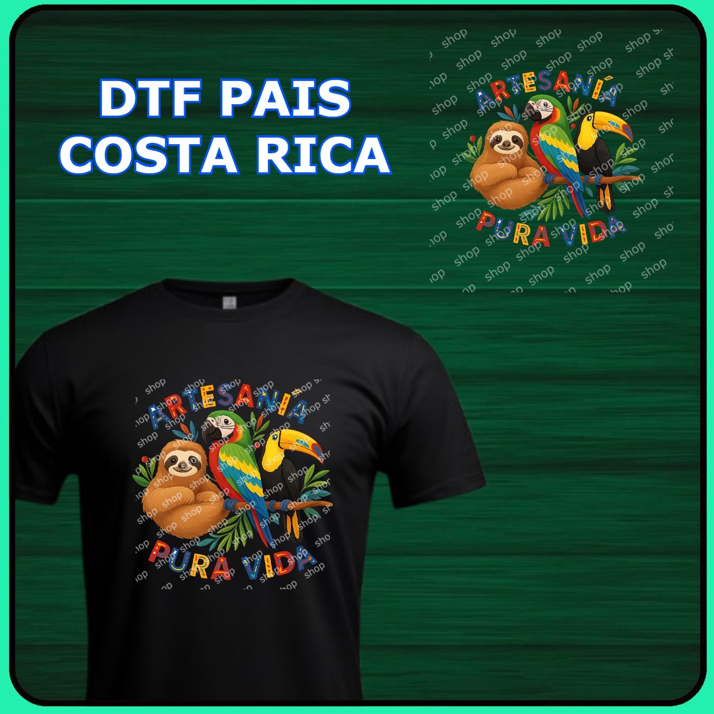 DTF TRANSFER COSTA RICA 09