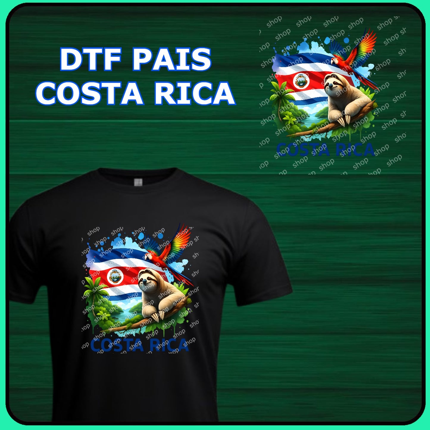 DTF TRANSFER COSTA RICA 04