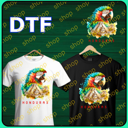 Diseños de Honduras 13