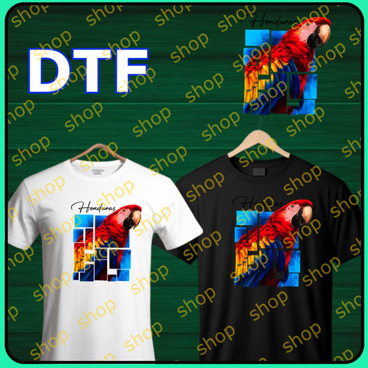 Diseños de Honduras 02