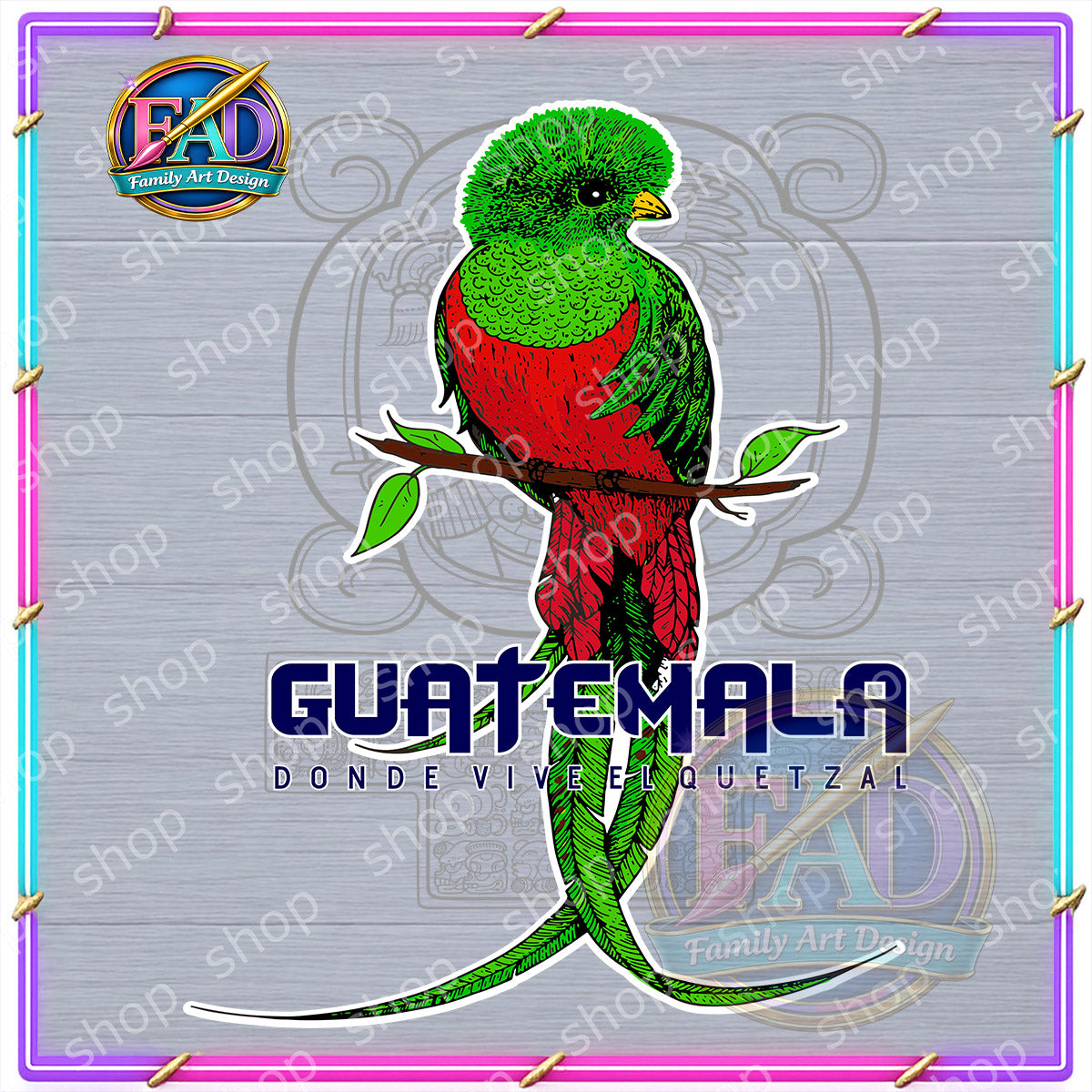 TRANSFER DTF GUATEMALA 03