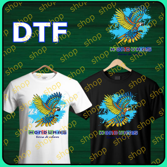 Diseños de Honduras 03