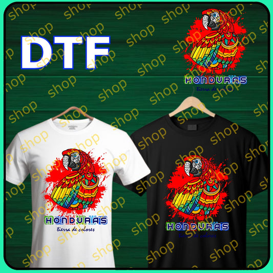 Diseños de Honduras 04