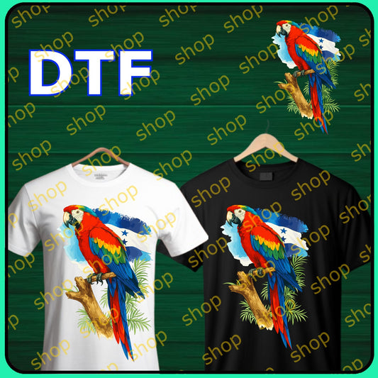 Diseños de Honduras 57